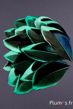 Pétales en plumes - 5-8 x 3-4 cm - vert-noir